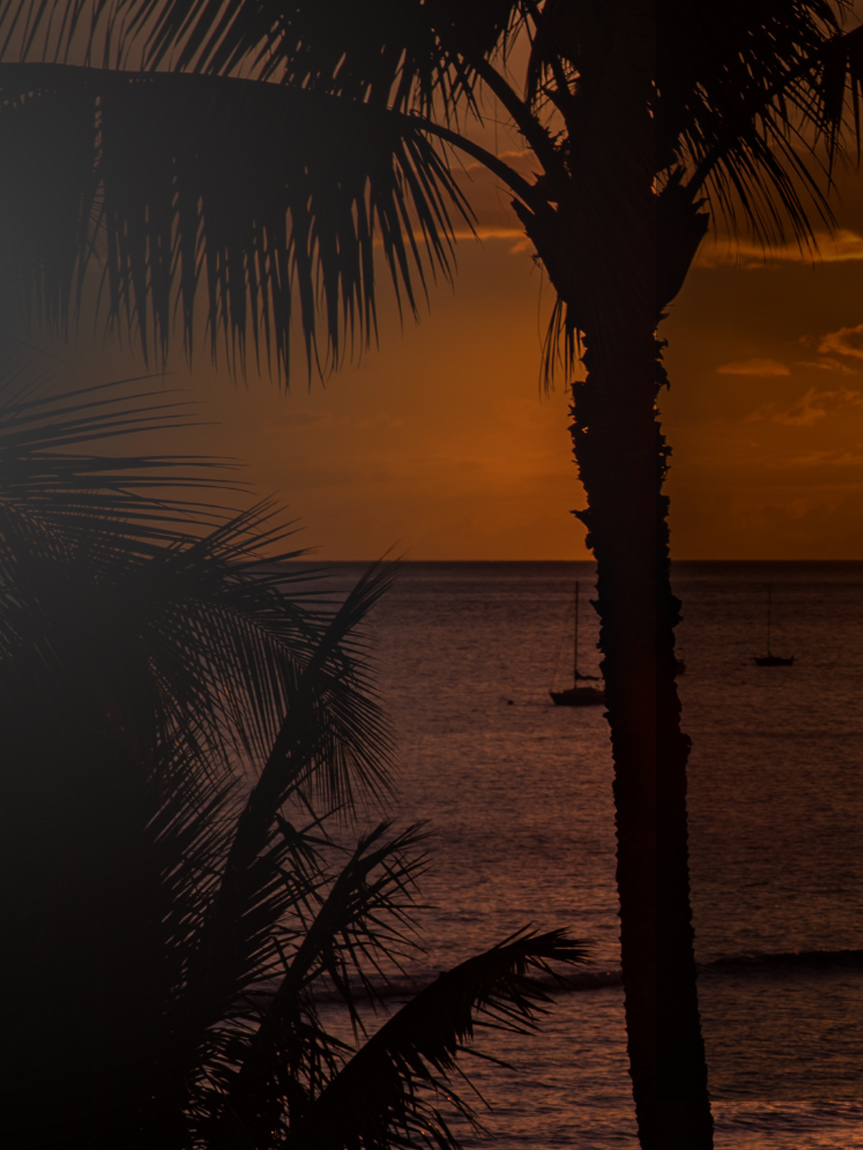 Tropical sunset with heartbroken image